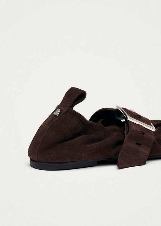Sarea Suede Brown Leather Ballet Flats-image